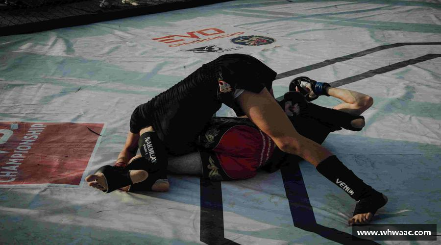 球盟会平台领跑者的选择，力量无限！